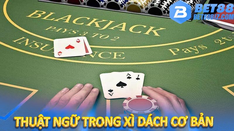 Thuật ngữ trong Xì dách cơ bản  